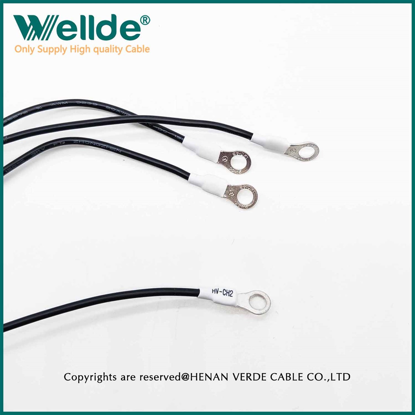 Cable de connexió d'endoll mascle flexible